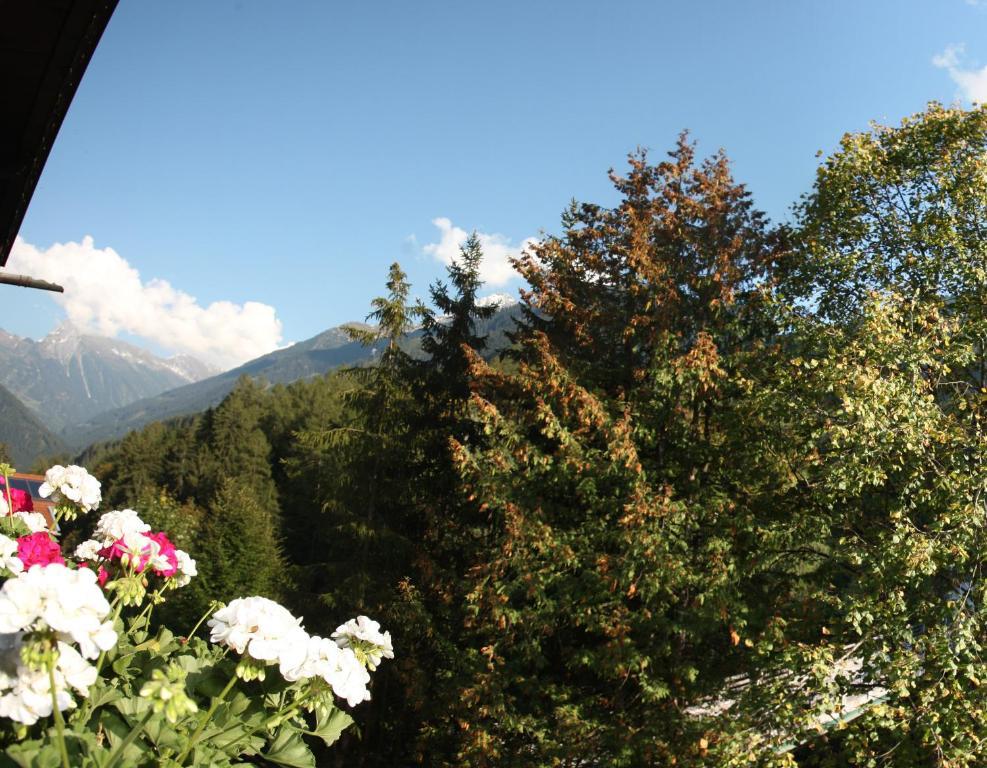 Apart Tuxertal Finkenberg Zimmer foto